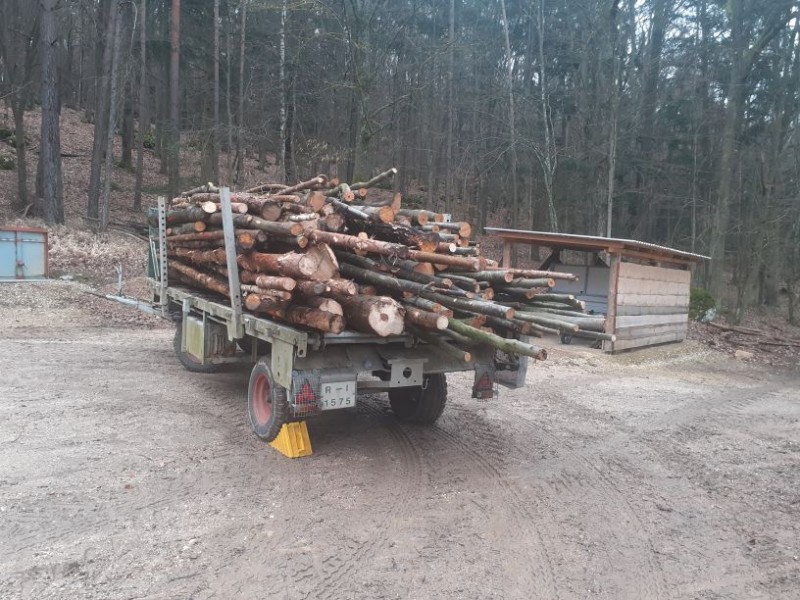Holzsaison 2021-22 (2).jpg