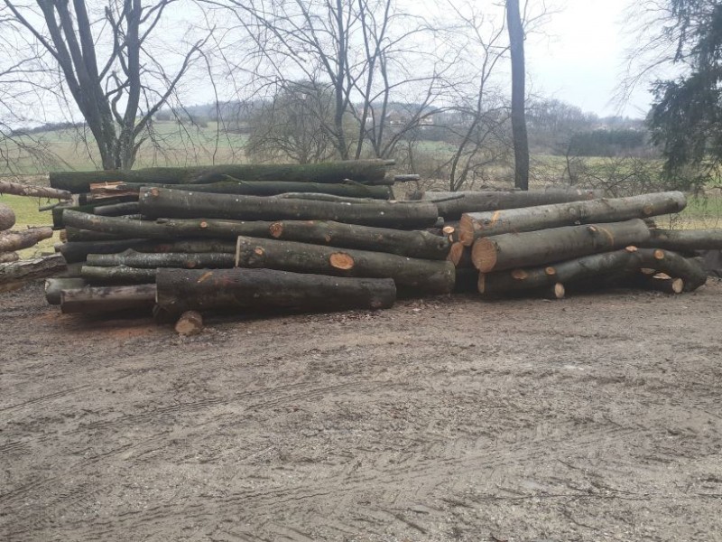 Holzsaison 2021-22 (3).jpg