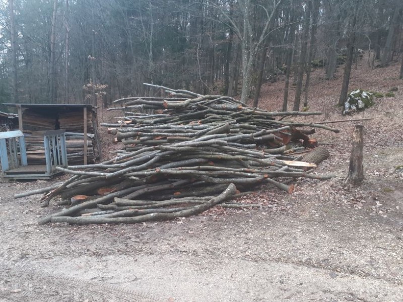 Holzsaison 2021-22 (4).jpg