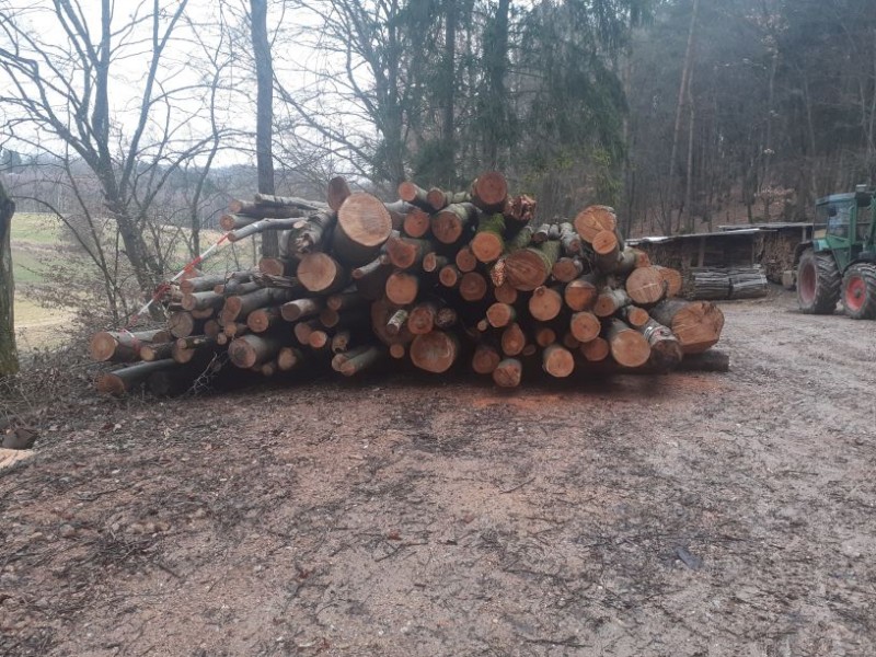 Holzsaison 2021-22 (6).jpg