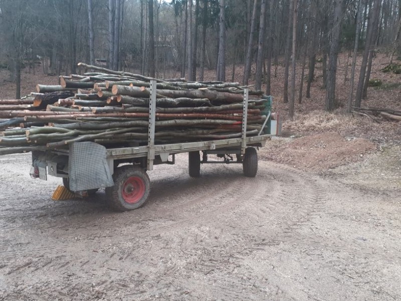 Holzsaison 2021-22 (7).jpg