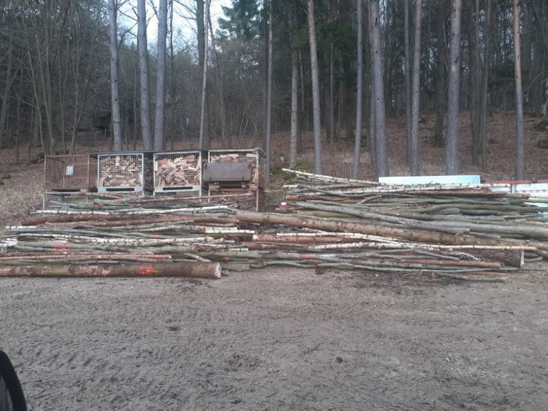 Holzsaison 2021-22 (9).jpg