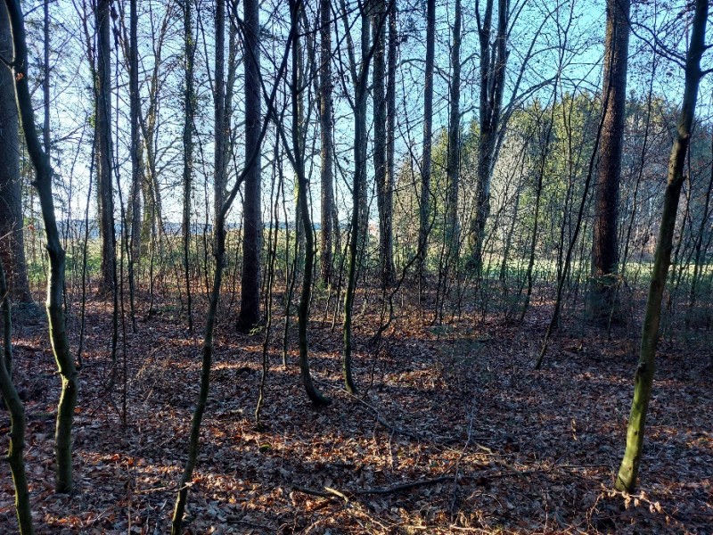 20220213_153544.jpg