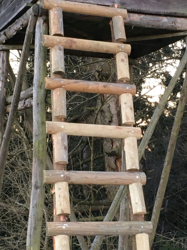Hochsitz2.jpg