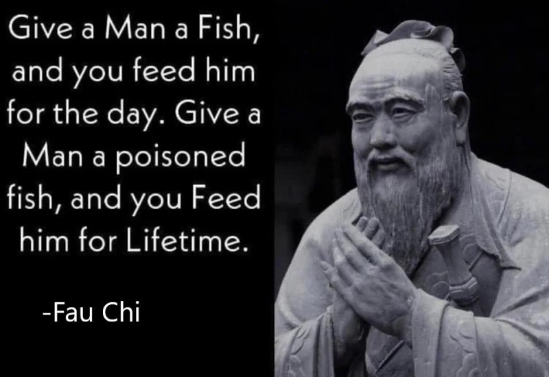 fisch vergiftet.jpeg