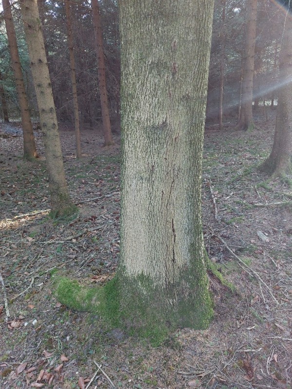 20220325_164602.jpg