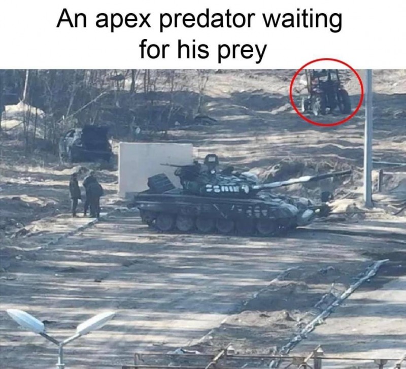 apex-predator.jpg