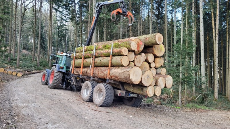 fendt511c bmf stammholz2.jpg