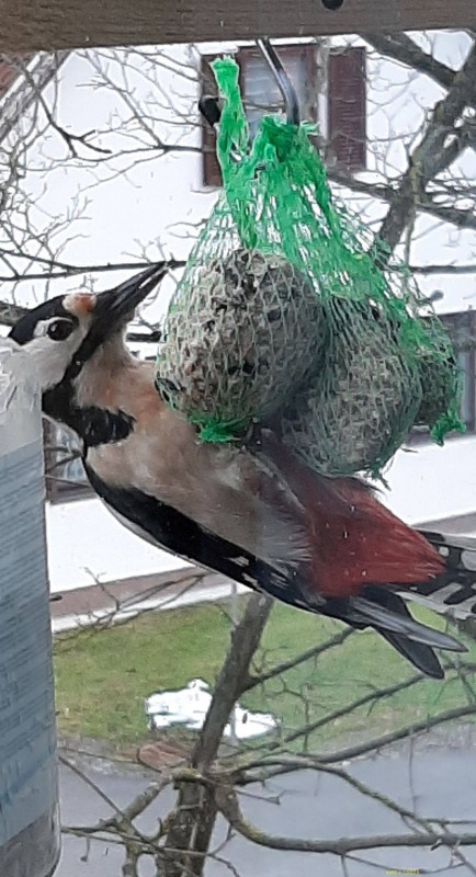20191219_153449.jpg