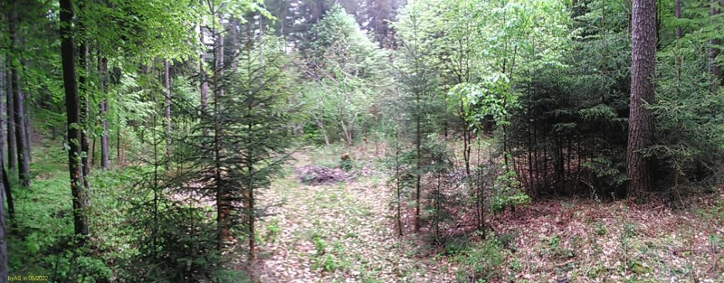 PANO_20220506_171234.jpg