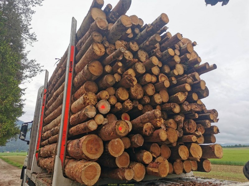 2022-05-17 09.25.34 17745 037 69728.jpg