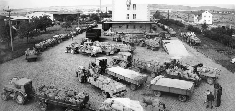 Ernteanlieferung BayWa.JPG