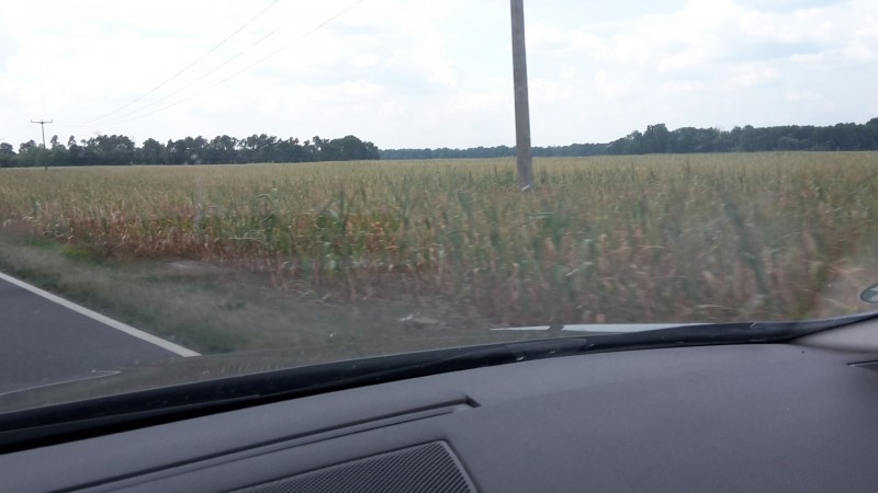 20220814_141950 (Large).jpg