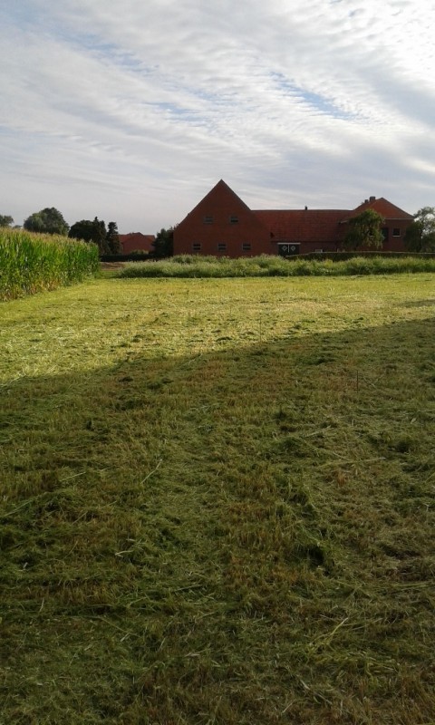 IMG-20170731-WA0009.jpg