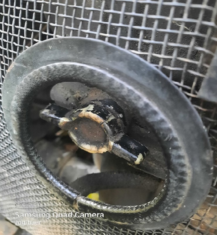 MTS Kompressor Kupplungsschalter.jpg