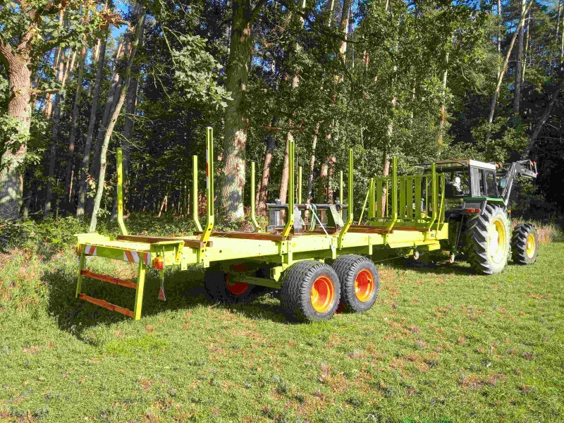 6. Ladew. Wald leer500kb.jpg