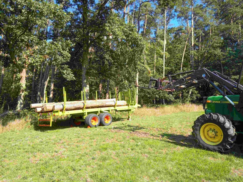 8. Ladew. Wald beim beladen500kb.jpg