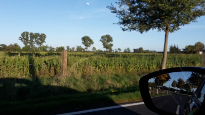 20221006_173105 (Large).jpg