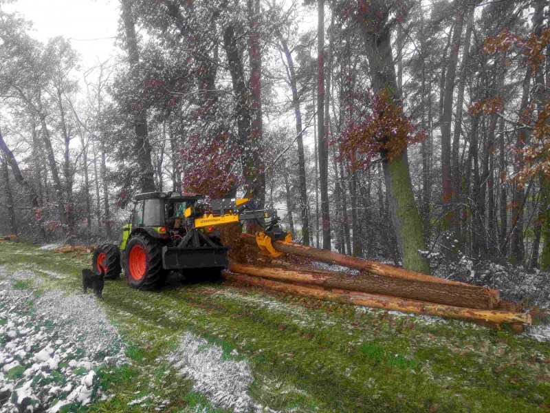 Caas Elios Zange_20221202_ - 500MB.jpg