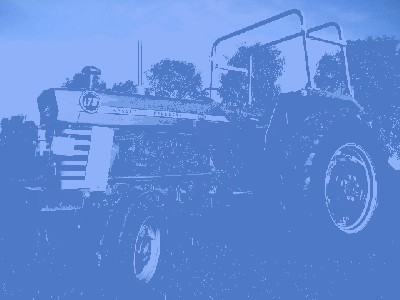 Kopie von MF178-061008 (50) Große Webansicht.jpg