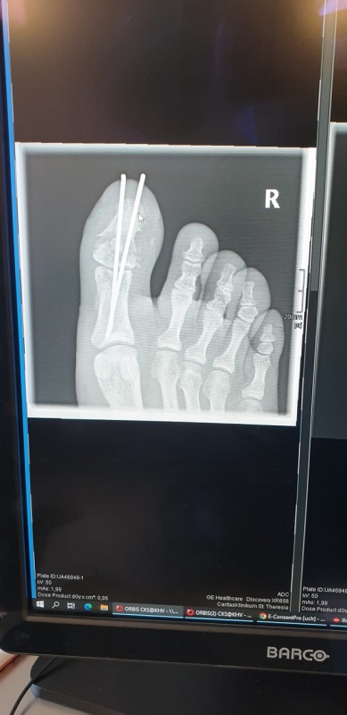 WhatsApp Bild 2023-02-08 um 08.03.40.jpg