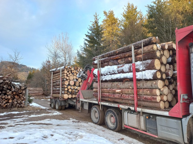 2023-02-20 17.58.15 10486.jpg