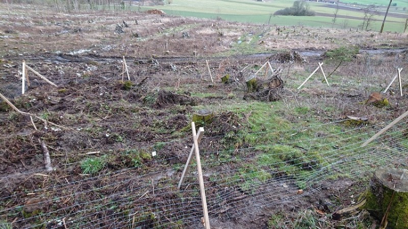 DSC_0890 - Kopie.JPG