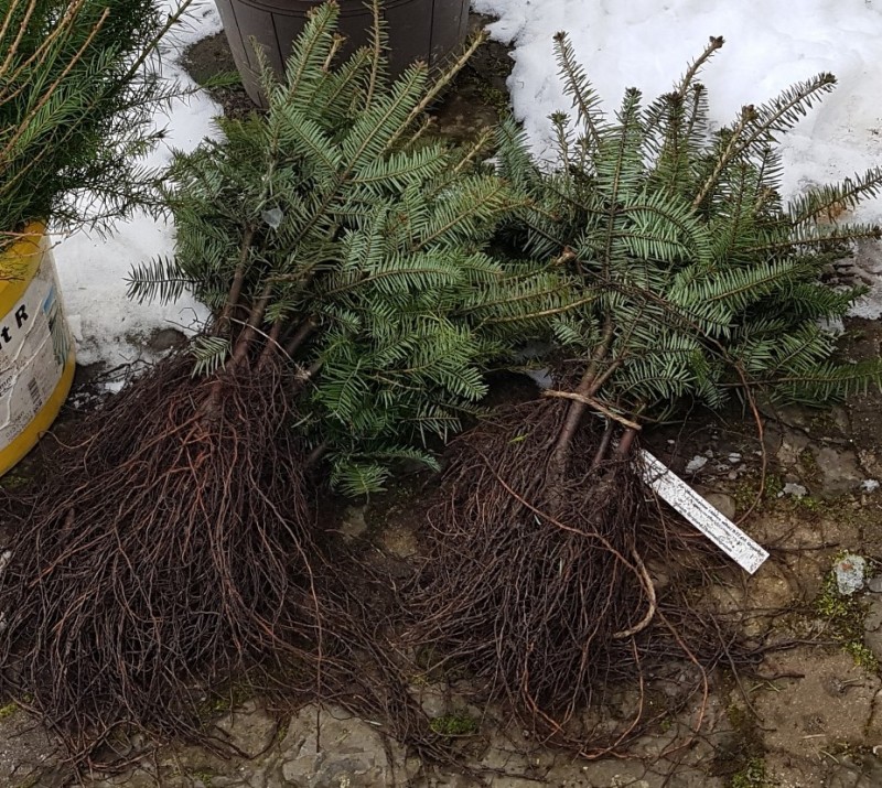 20230316_104650_resized_2 (2).jpg