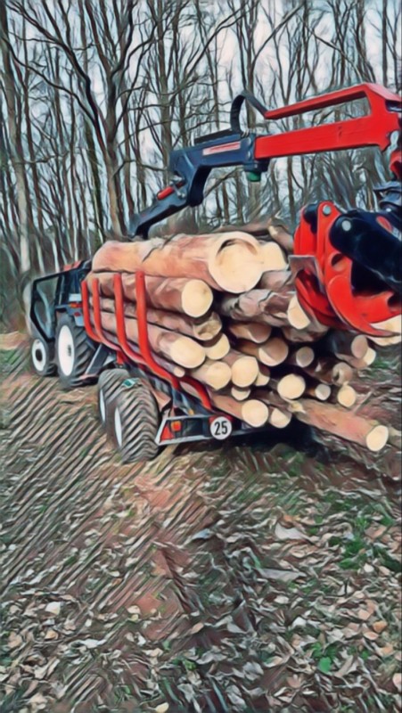 Die letzte Fuhre.jpg