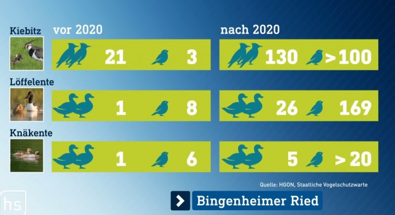 Screenshot 2023-05-06 120538.jpg