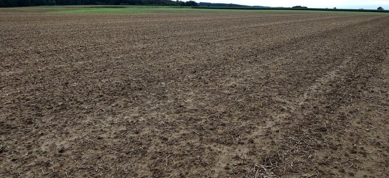 Screenshot 2023-10-01 142406-min.jpg