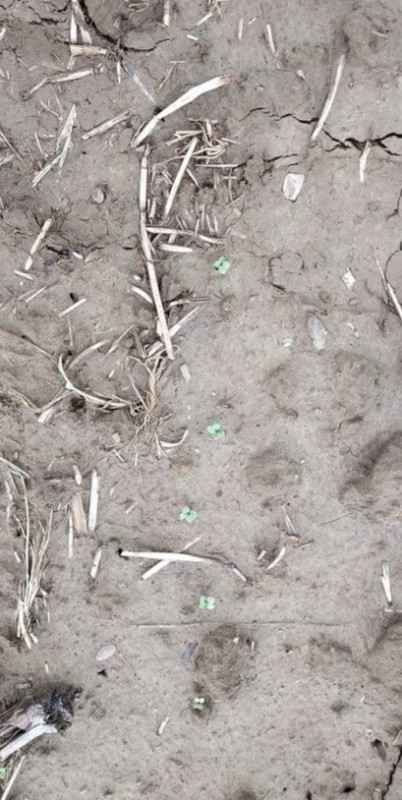 Screenshot 2023-10-01 142645-min.jpg