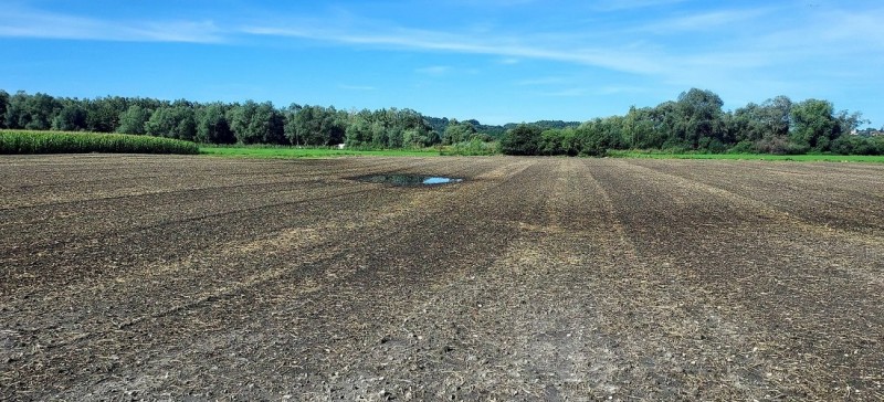 Screenshot 2023-10-01 142918-min.jpg