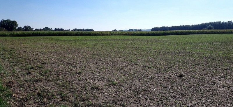 Screenshot 2023-10-01 143700-min.jpg