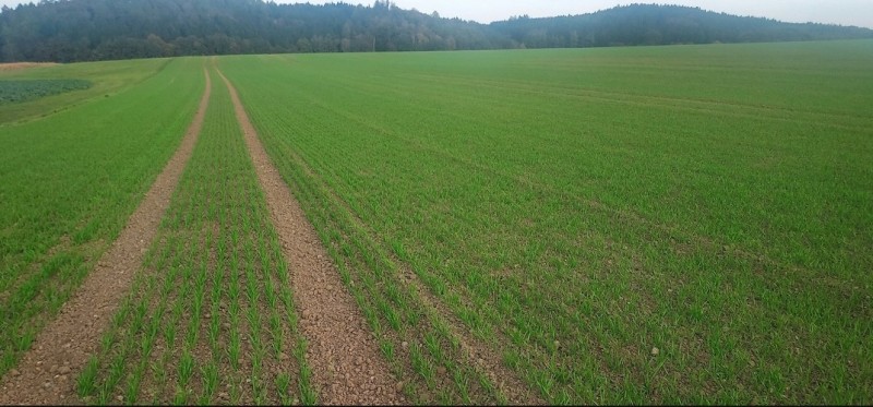 Screenshot 2023-10-11 192105-min.jpg