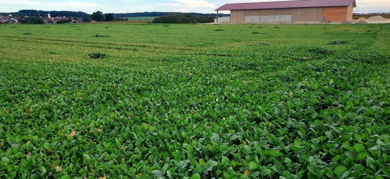 Screenshot 2023-10-24 201238.jpg