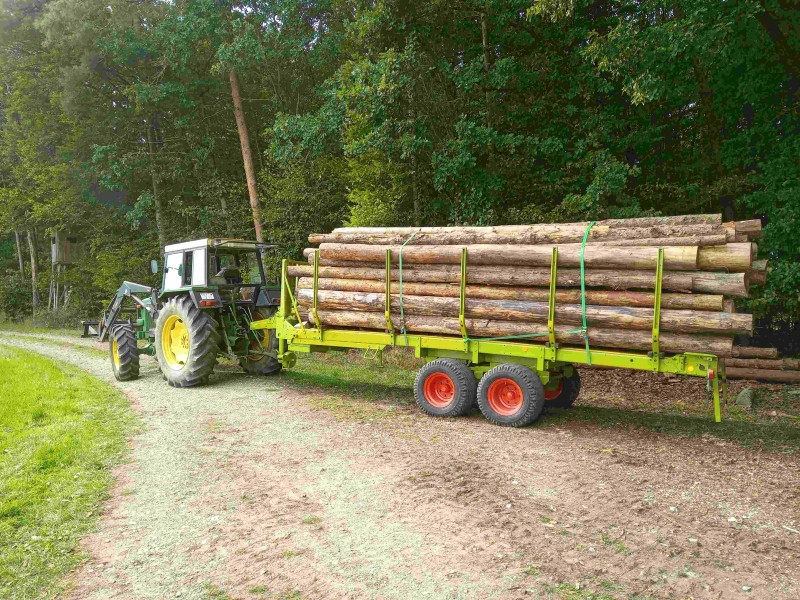 9. Ladew. beladen Wald.500kb.jpg