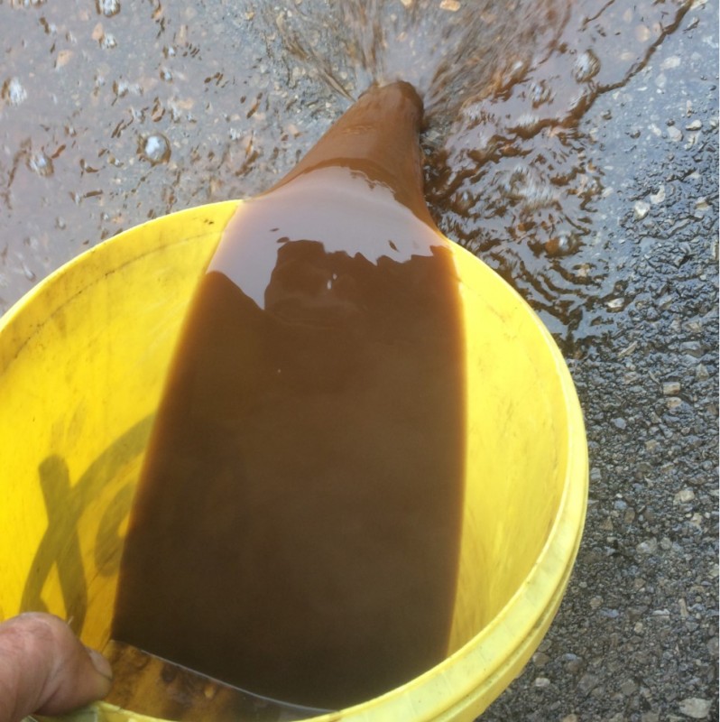 Screenshot 2023-12-01 055847.jpg