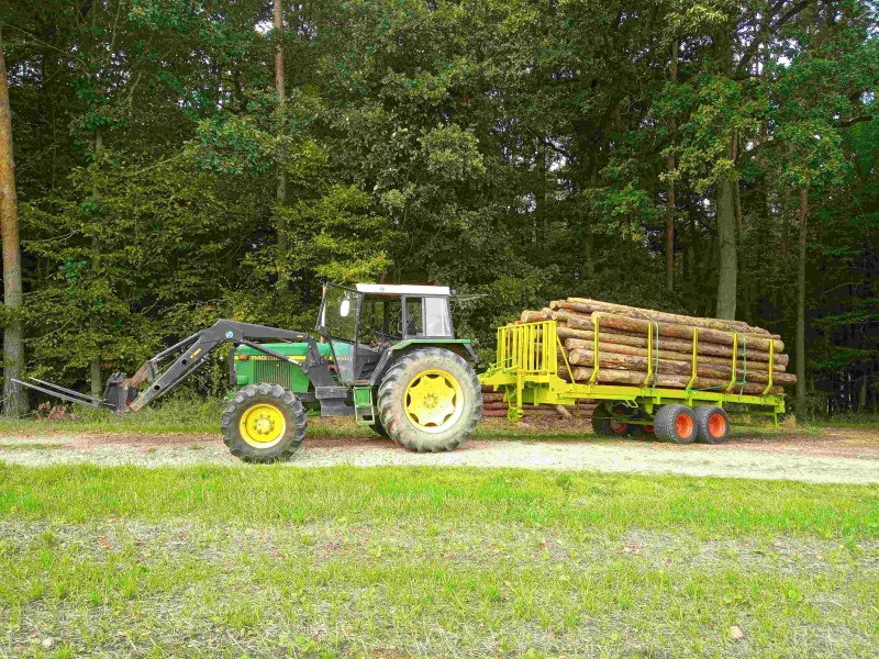 3-März 23IMG_20220924_131645_6.jpg