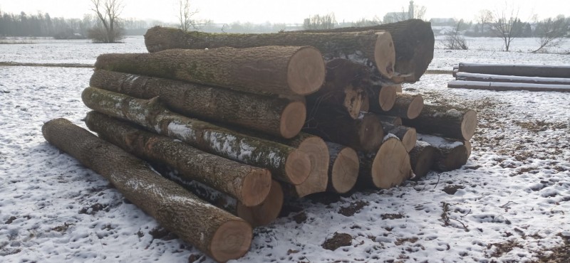 WhatsApp Image 2024-01-16 at 11.29.34.jpeg