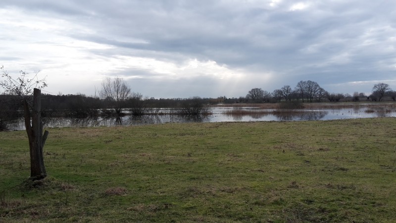 20240216_Ferbitzer Bruch_75proz.jpg