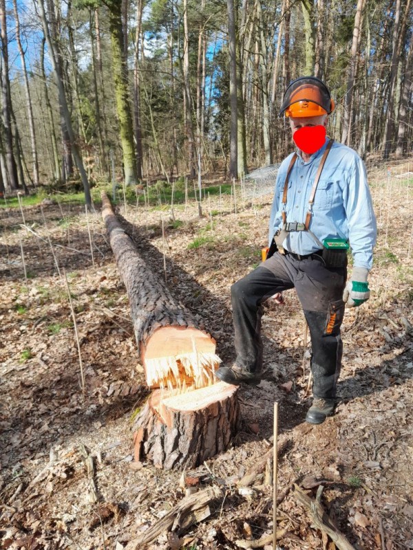 punktgenaue Landung.jpg