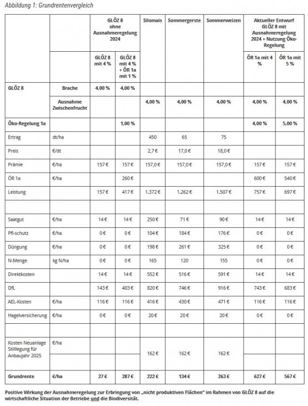 GLÖZ8 ÖR1 Grundrentenvergleich.JPG