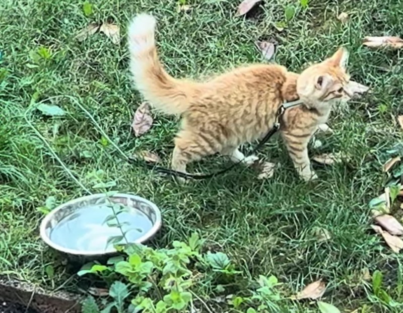 Screenshot 2024-08-08 212312.jpg