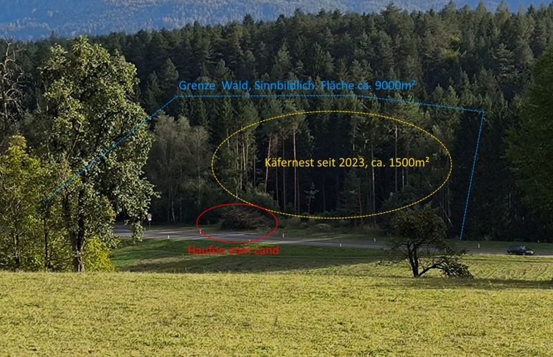Wald_Hackhaufen_edit.jpg
