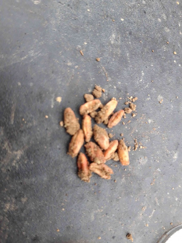 20241108_154126 (1)_11zon.jpg