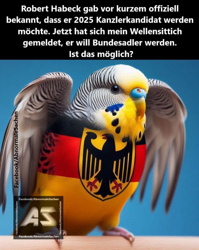 Bundesadler.jpg