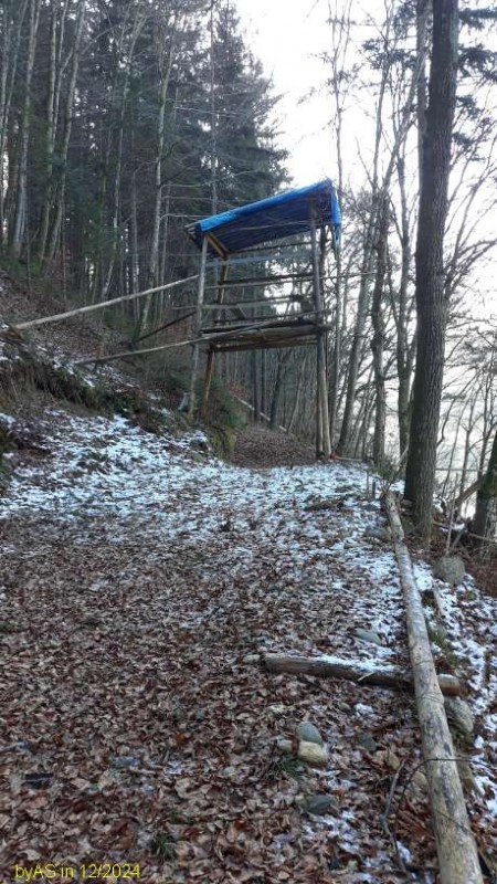Hochsitz_20241229_113539.jpg