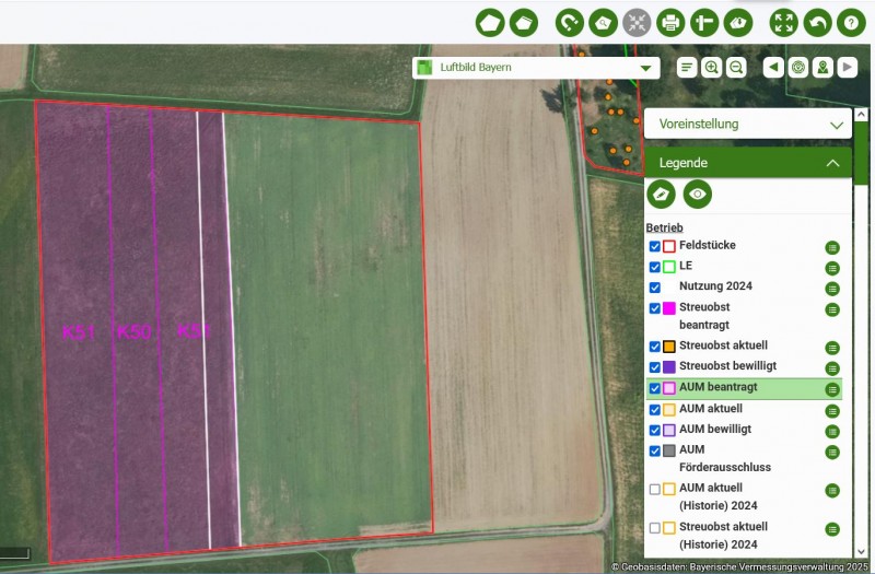 K50 und K51 Streifen auf ehemals B48 Blühfläche und Brache 591.JPG