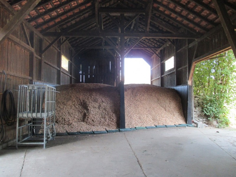 Frisch gehackt 2020.JPG